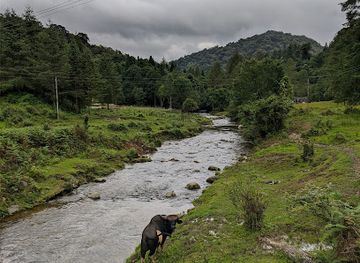 india/arunachal-pradesh/attraction/talley-valley-wildlife-sanctuary