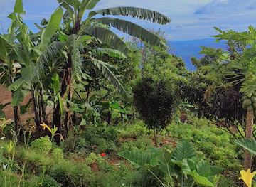 rwanda/muhanga/attraction/ishobe-farm