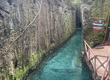 mexico/riviera-maya/attraction/mariposario-de-xcaret