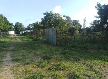 kenya/malindi/attraction/coccobella-garden