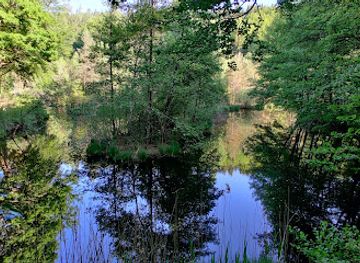 austria/worthersee/attraction/grafenlacke