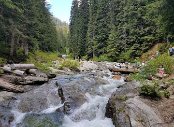 washington/snoqualmie-pass/attraction/denny-creek-trailhead