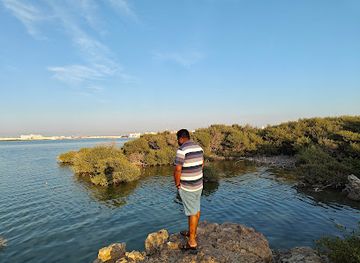 bahrain/jebel-dukhan/attraction/ras-sanad-mangrove-area