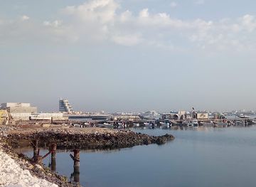 bahrain/budaiya/attraction/dolphin-resort-bahrain