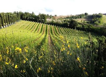 italy/siena/attraction/cappella-di-sant-andrea