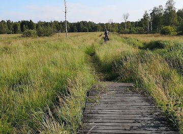 poland/słowiński-national-park/attraction/slowinski-park-narodowy-obwod-ochronny-kluki