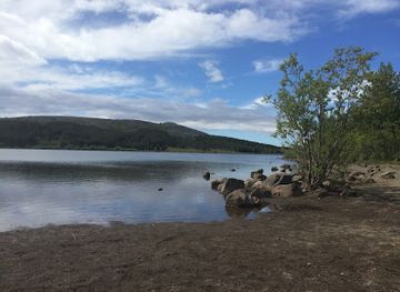 iceland/hafnarfjordur/attraction/hofoaskogur-forest