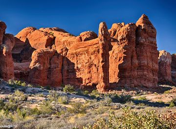 utah/arches-national-park/attraction/petrified-dunes-viewpoint