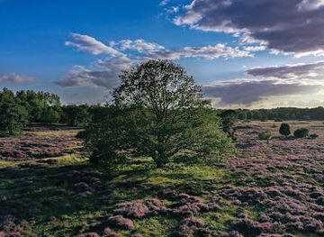 netherlands/drenthe/attraction/drouwenerzand-drenthse-hondsrug
