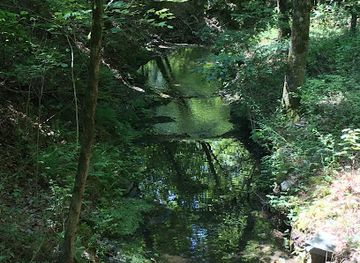 arkansas/ouachita-national-forest/attraction/little-blakely-trailhead