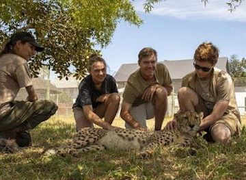 south-africa/cape-town/attraction/cheetah-outreach