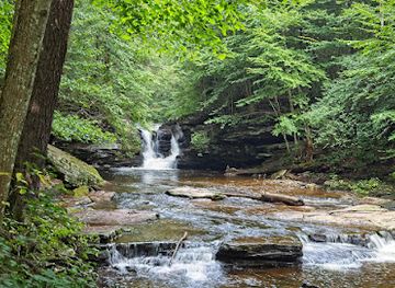pennsylvania/ricketts-glen-state-park/attraction/murray-reynolds-falls