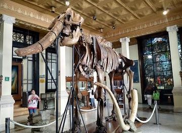 mexico/mexico-city/attraction/museo-del-instituto-de-geologia-de-la-unam