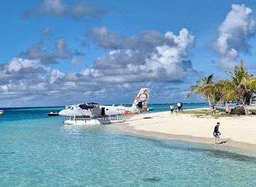 maldives/alimatha-island/attraction/sting-ray-feeding-point