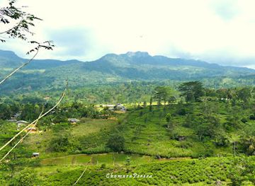 sri-lanka/southern-province/attraction/hulan-wanguwa-view-point