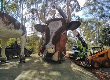 australia/darling-downs/attraction/the-big-cow