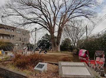 japan/tokyo/attraction/sakanoue-no-keyaki-park