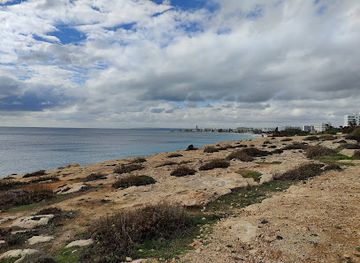 cyprus/nissi-beach/attraction/socha-motyla