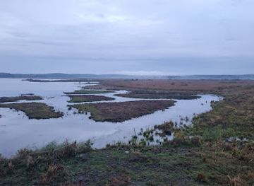 sweden/vasteras/attraction/askoviken-tornudden