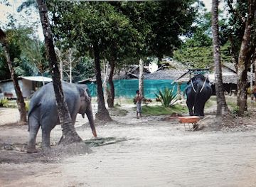 thailand/similan-islands/attraction/sai-rung-elephant-camp