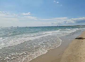 Grenen