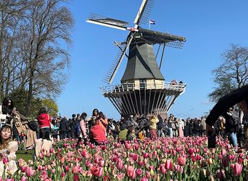 netherlands/bollenstreek/attraction/kasteel-keukenhof