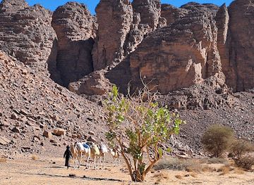 algeria/tassili-n-ajjer-national-park/attraction/parc-culturel-du-tassili