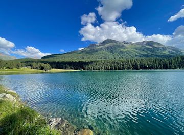 switzerland/engadin/attraction/holzskulptur