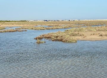 qatar/al-thakira-mangroves/attraction/zhakhira-natural-reserve