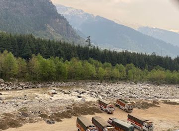 india/himachal-pradesh/attraction/hadimba-forest-block