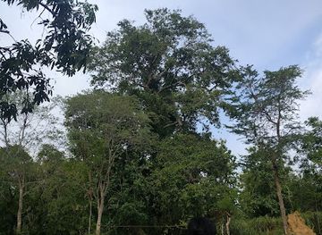 sri-lanka/moneragala-district/attraction/jayanthi-wewa-hot-spring