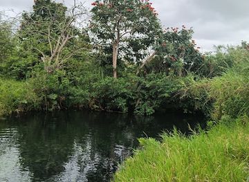 puerto-rico/arecibo/attraction/cano-tiburones