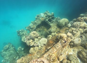 micronesia/koror/attraction/shipwreck
