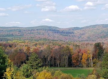 pennsylvania/allegheny-national-forest/attraction/dents-run-elk-viewing-area