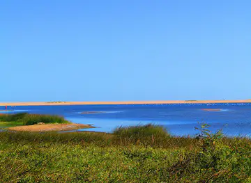 Laguna de Rocha