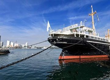 japan/tokyo/attraction/nyk-hikawa-maru