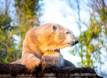 netherlands/wadden-islands/attraction/aquazoo-friesland
