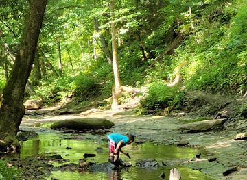 west-virginia/metro-valley/attraction/kanawha-state-forest