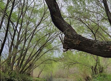 argentina/tigre/attraction/isla-miranda