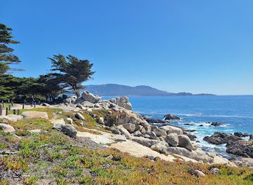 california/south-coast/attraction/pescadero-point