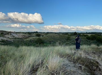 netherlands/keukenhof-gardens/attraction/van-limburg-stirumsduinen