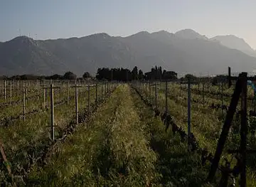 Ktima Akrani (Triantafyllopoulos Winery)