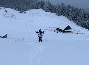 ukraine/hoverla-mountain/attraction/kolyba-na-polonyni-bolota
