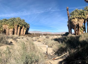 california/southern-california/attraction/coachella-valley-preserve-thousand-palms-oasis-preserve