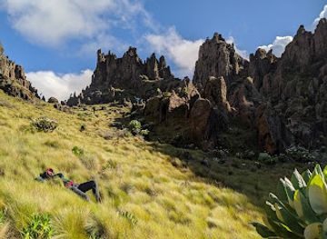 kenya/mount-kenya-region/attraction/aberdare-national-park