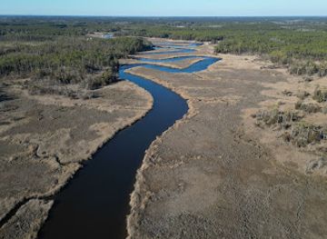 maryland/janes-island-state-park/attraction/shiles-creek