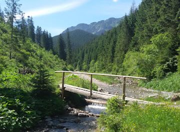 poland/tatra-mountains/attraction/lejowa-valley