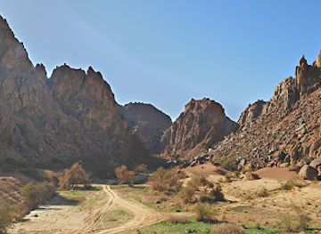 saudi-arabia/hail/attraction/mashar-national-park
