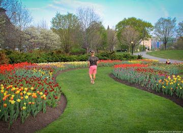 canada/ottawa/attraction/commissioners-park