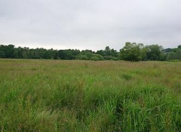 united-kingdom/norwich/attraction/marston-marsh